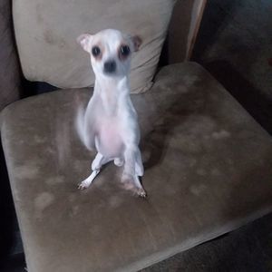 Meet your Posher, Suzanne